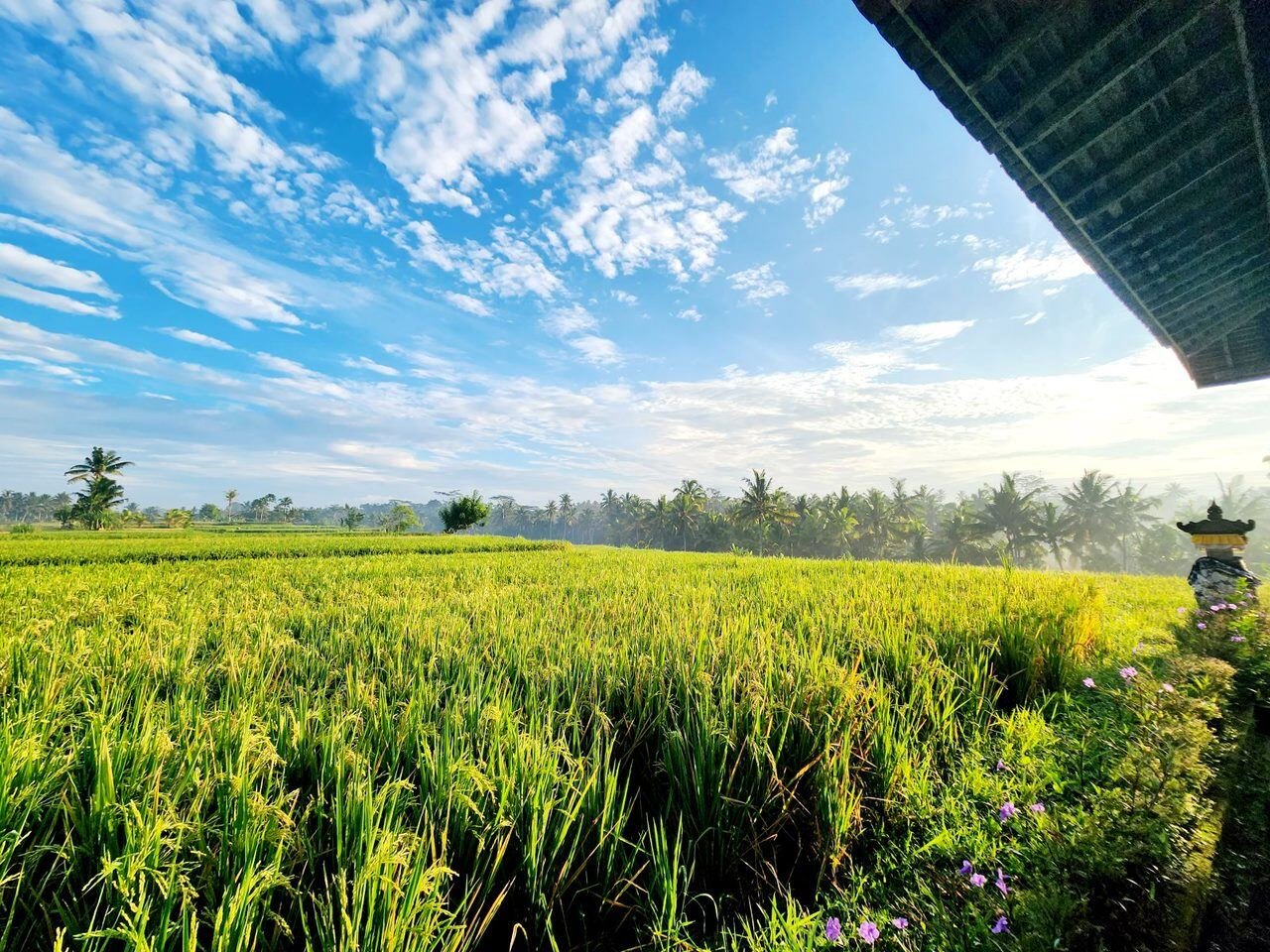 Bali Ubud